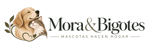 Mora & Bigotes