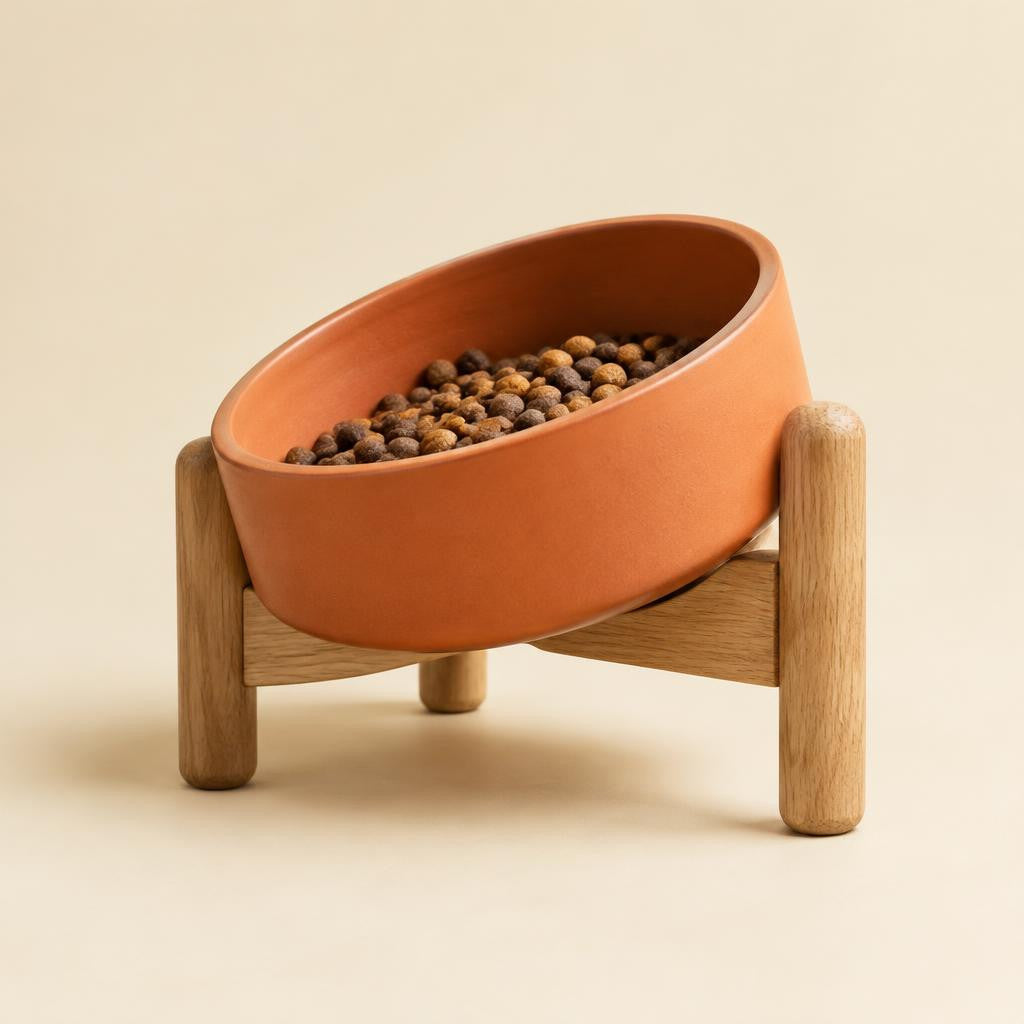 Comedero Terra para gato — fotografía de producto Mora & Bigotes