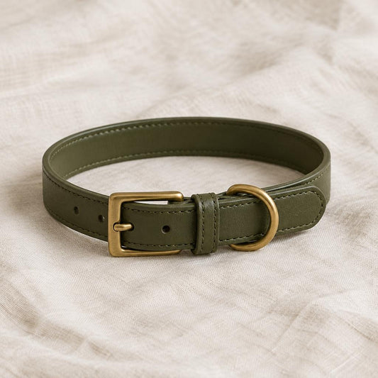 Collar Oliva para perro — fotografía de producto Mora & Bigotes