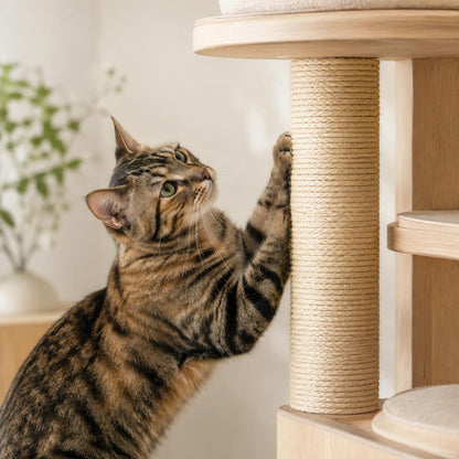 Rascador Nido para gato — en uso — Mora & Bigotes